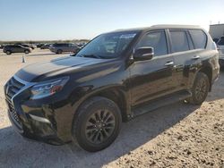 Salvage cars for sale at San Antonio, TX auction: 2021 Lexus GX 460 Premium