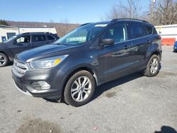 Salvage cars for sale at Grantville, PA auction: 2018 Ford Escape SE