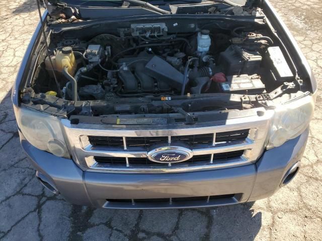 2008 Ford Escape XLT