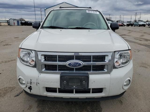 2012 Ford Escape XLT