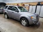 2008 Ford Escape XLT