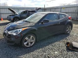 Salvage cars for sale at Arlington, WA auction: 2012 Hyundai Veloster