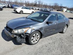 Salvage cars for sale at Marlboro, NY auction: 2009 Honda Accord EX