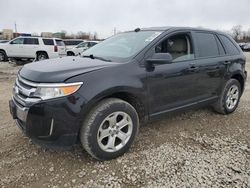 Salvage cars for sale at Columbus, OH auction: 2014 Ford Edge SEL