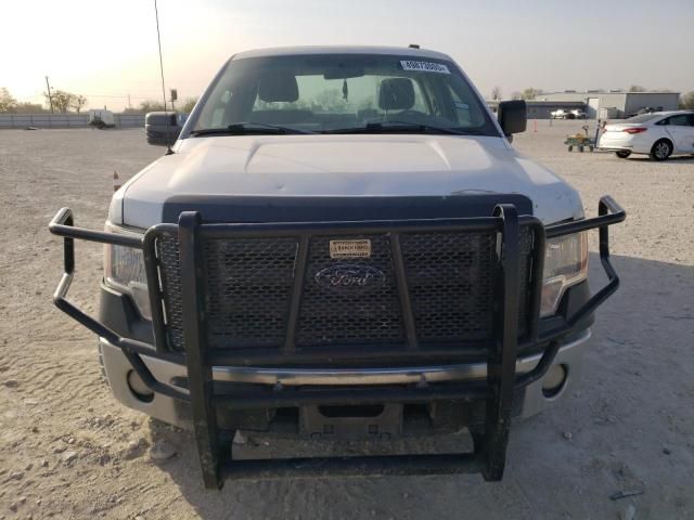 2010 Ford F150