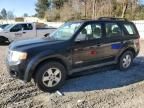 2008 Ford Escape XLS