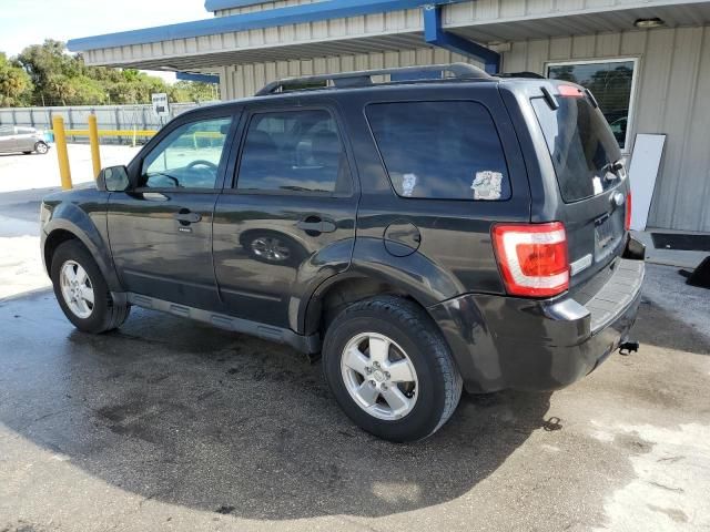 2011 Ford Escape XLT