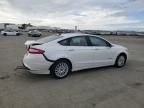 2013 Ford Fusion SE Hybrid