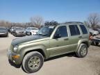 2002 Jeep Liberty Renegade