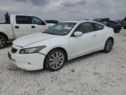 Salvage cars for sale at Taylor, TX auction: 2010 Honda Accord EXL