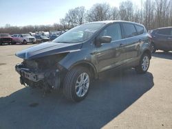 Salvage cars for sale at Glassboro, NJ auction: 2019 Ford Escape SE