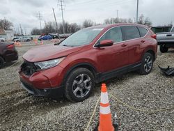 Salvage cars for sale at Columbus, OH auction: 2019 Honda CR-V EX