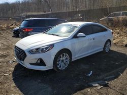 Salvage cars for sale at Baltimore, MD auction: 2019 Hyundai Sonata SE