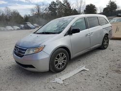 Honda Odyssey exl Vehiculos salvage en venta: 2013 Honda Odyssey EXL