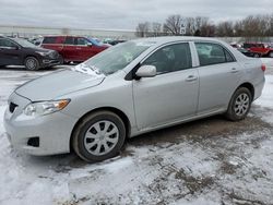 Salvage cars for sale at Davison, MI auction: 2010 Toyota Corolla Base