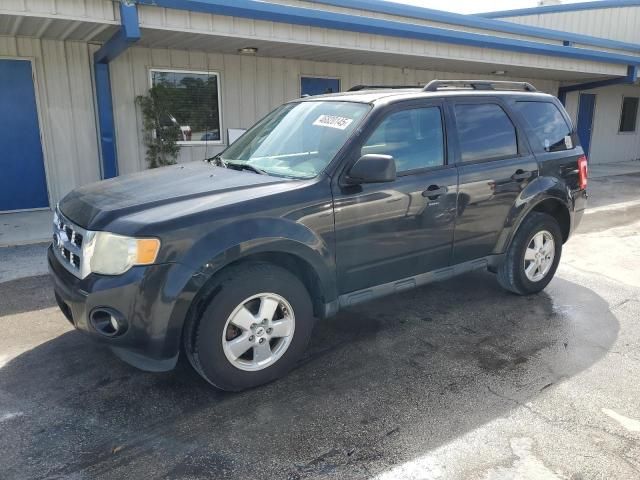 2011 Ford Escape XLT