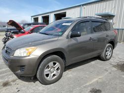 Salvage cars for sale at Chambersburg, PA auction: 2010 Toyota Rav4