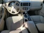 2007 Ford Escape XLT