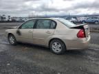 2005 Chevrolet Malibu LS