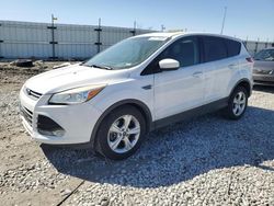 Salvage cars for sale at Cahokia Heights, IL auction: 2014 Ford Escape SE