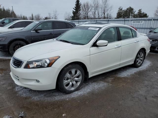 2010 Honda Accord EXL