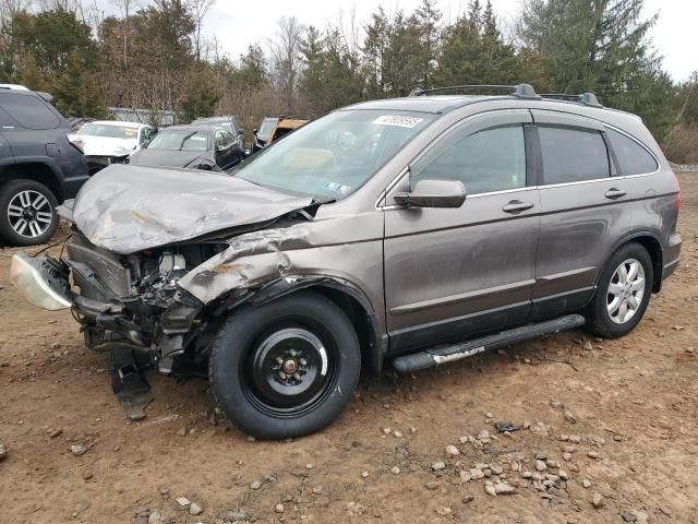 2010 Honda CR-V EXL