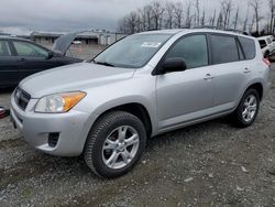 Salvage cars for sale at Arlington, WA auction: 2012 Toyota Rav4