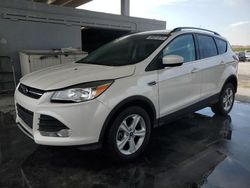 Salvage cars for sale at West Palm Beach, FL auction: 2016 Ford Escape SE