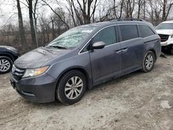 Honda Vehiculos salvage en venta: 2016 Honda Odyssey SE