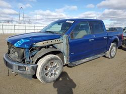 Salvage cars for sale from Copart Nisku, AB: 2017 Ford F150 Supercrew