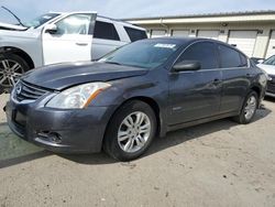 2010 Nissan Altima Hybrid en venta en Louisville, KY