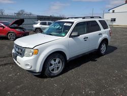 Salvage cars for sale at Windsor, NJ auction: 2012 Ford Escape XLT