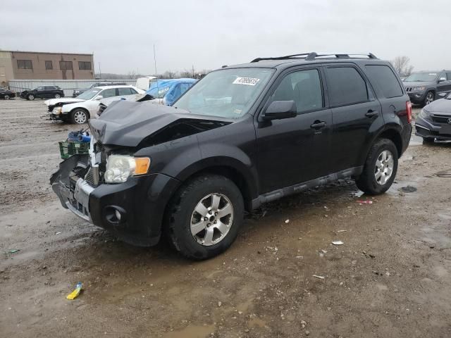 2011 Ford Escape Limited