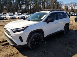 Salvage cars for sale at North Billerica, MA auction: 2023 Toyota Rav4 LE