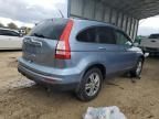 2010 Honda CR-V EXL