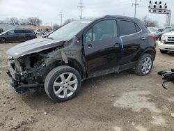 Salvage cars for sale at Columbus, OH auction: 2015 Buick Encore