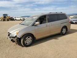 Salvage cars for sale at American Canyon, CA auction: 2006 Honda Odyssey EXL