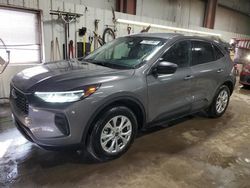 Salvage cars for sale at Elgin, IL auction: 2024 Ford Escape Active