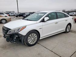 Salvage cars for sale at Grand Prairie, TX auction: 2016 Hyundai Sonata Hybrid