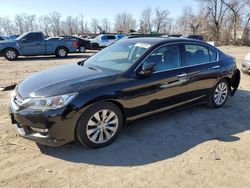 Salvage cars for sale at Baltimore, MD auction: 2013 Honda Accord EXL