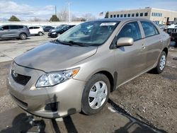 Salvage cars for sale at Littleton, CO auction: 2010 Toyota Corolla Base