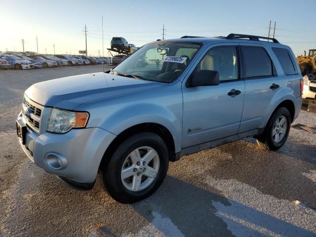 2009 Ford Escape Hybrid