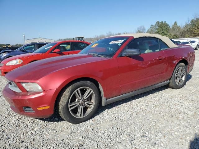 2010 Ford Mustang