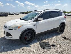 Salvage cars for sale at West Palm Beach, FL auction: 2016 Ford Escape SE