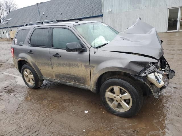 2009 Ford Escape XLT