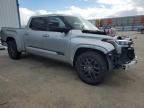 2023 Toyota Tundra Crewmax Platinum