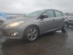 Salvage cars for sale at Pennsburg, PA auction: 2014 Ford Focus SE