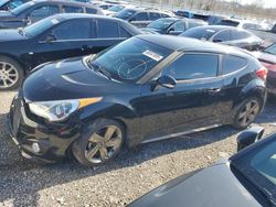 Salvage cars for sale at Louisville, KY auction: 2015 Hyundai Veloster Turbo