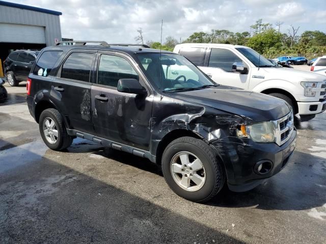 2011 Ford Escape XLT