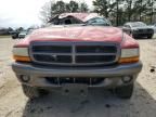 2002 Dodge Dakota Base